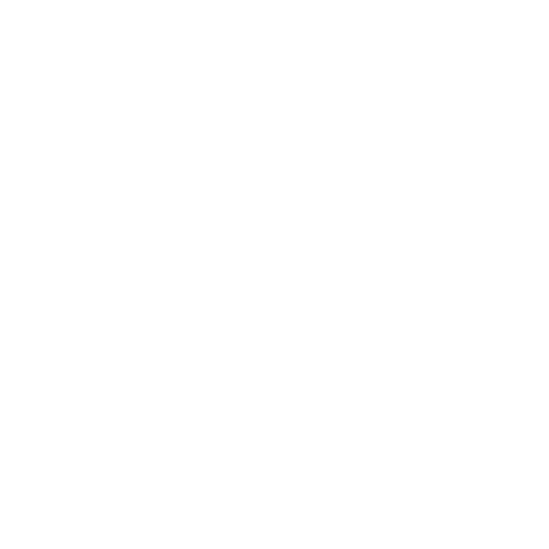 transparent-square Blank white image with no discernible features.